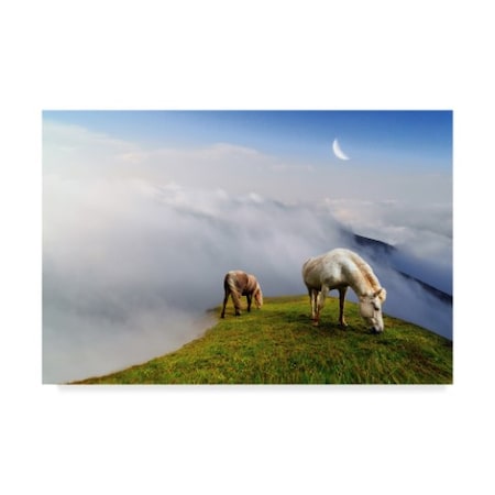 Trademark Fine Art Ata Alishahi 'Mountain Horses' Canvas Art, 16x24 ALI22282-C1624GG